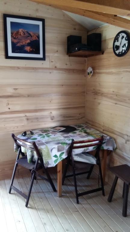 Chalet L'Ourson Chamonix Exterior foto